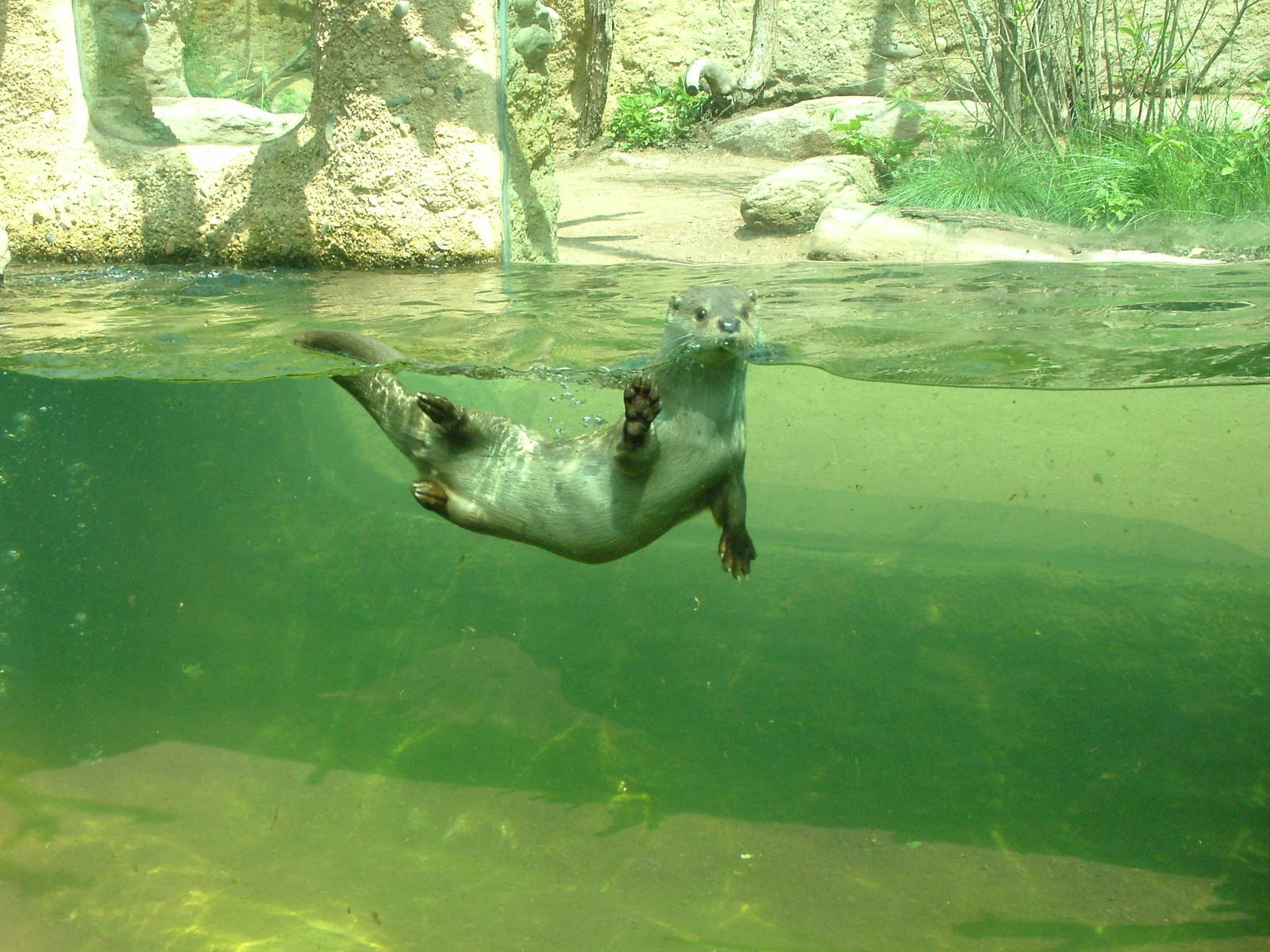 Czech River exhibit at Plzen, 25/05/10