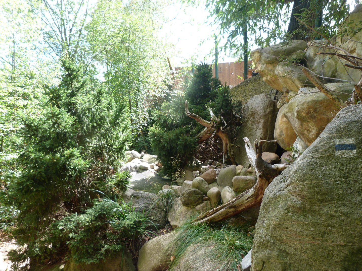 Czech rivers zone -Zoo Plzeň (2025)