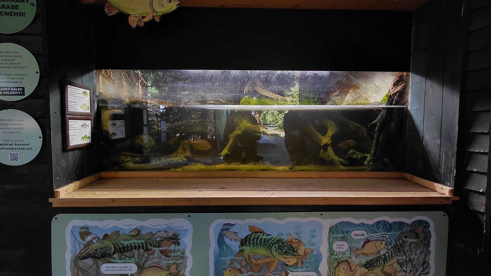 Czech waters tank #1