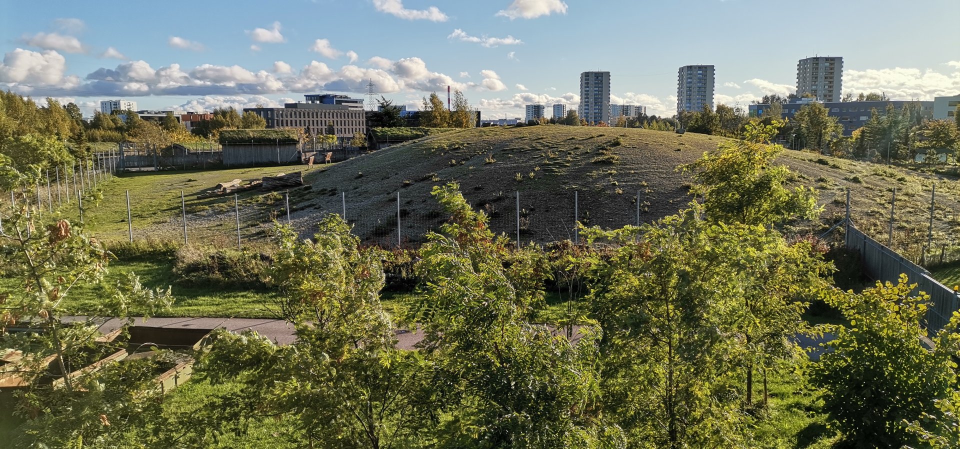 Dagestan Tur female herd enclosure