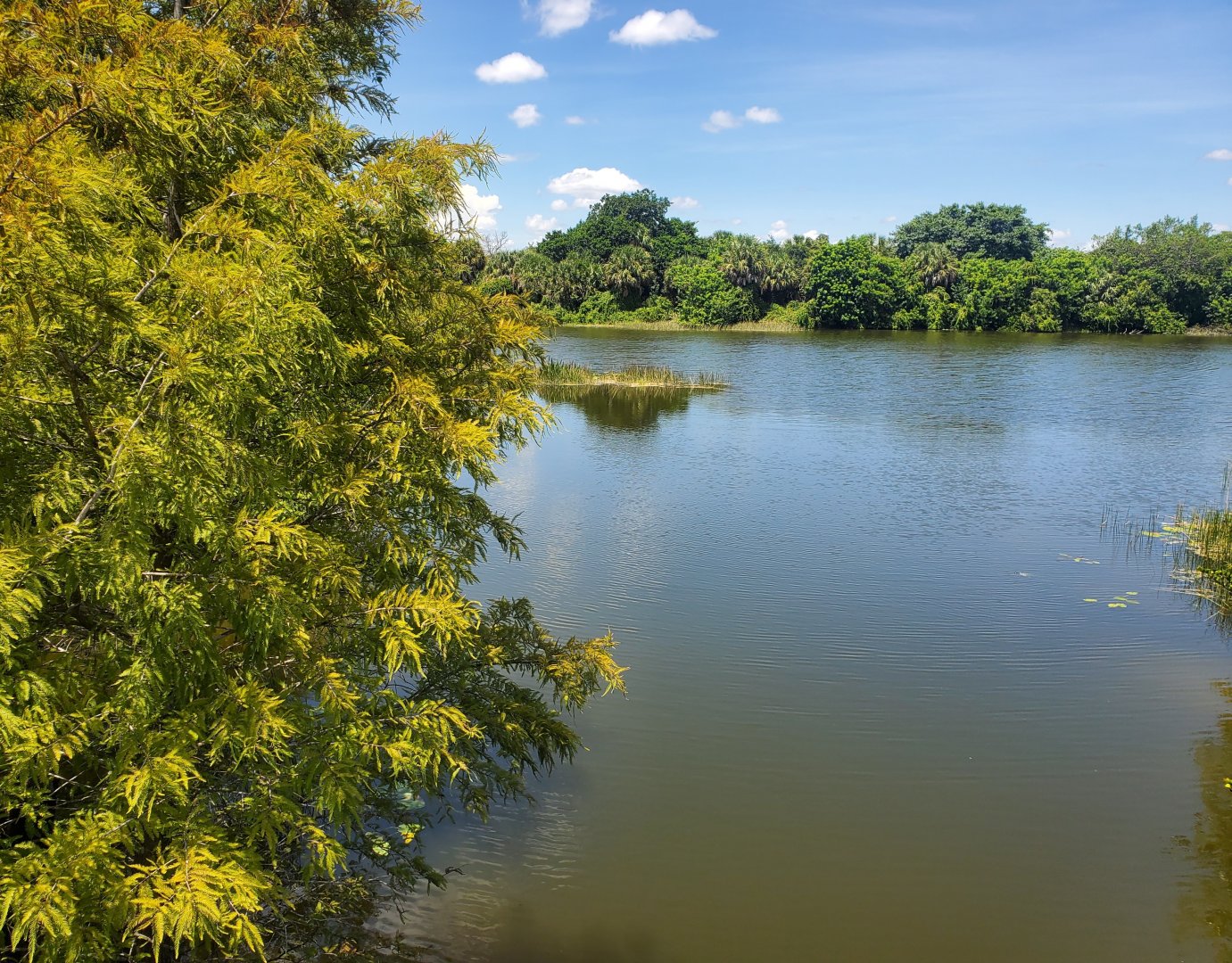 Daggerwing Nature Center - Outside view