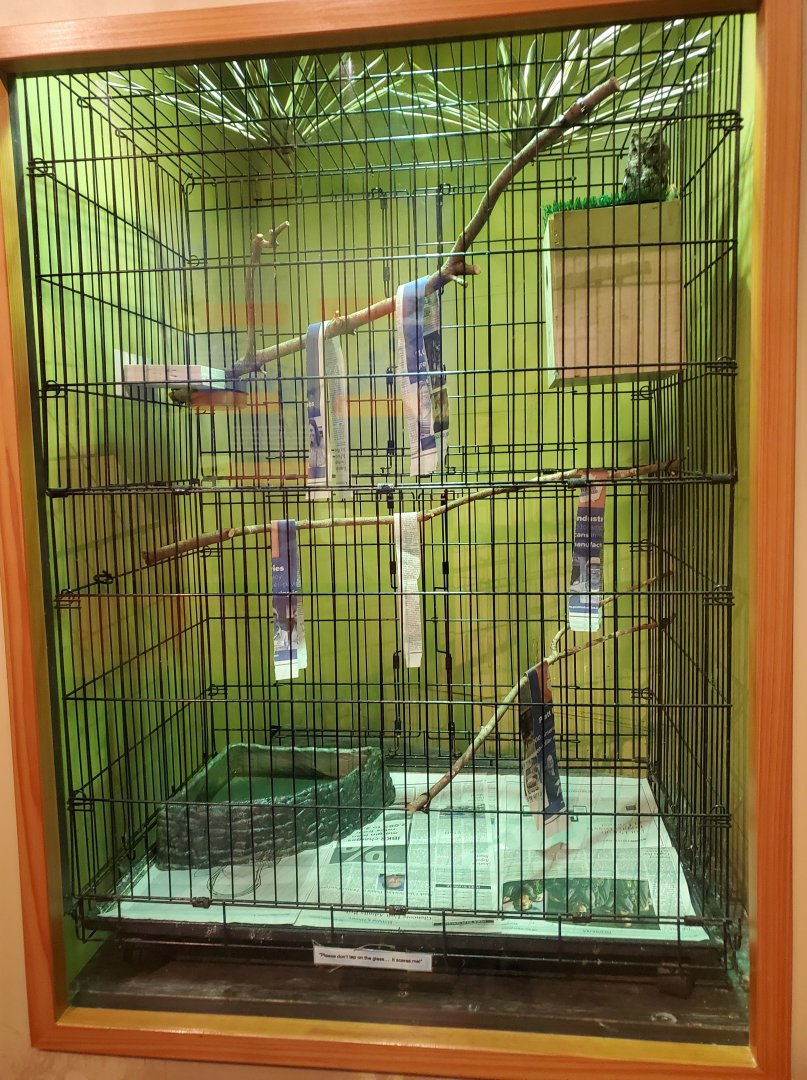 Daggerwing Nature Center - Screech Owl enclosure