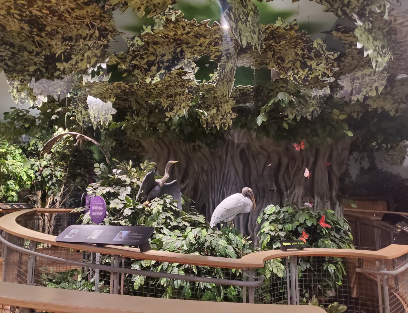 Daggerwing Nature Center