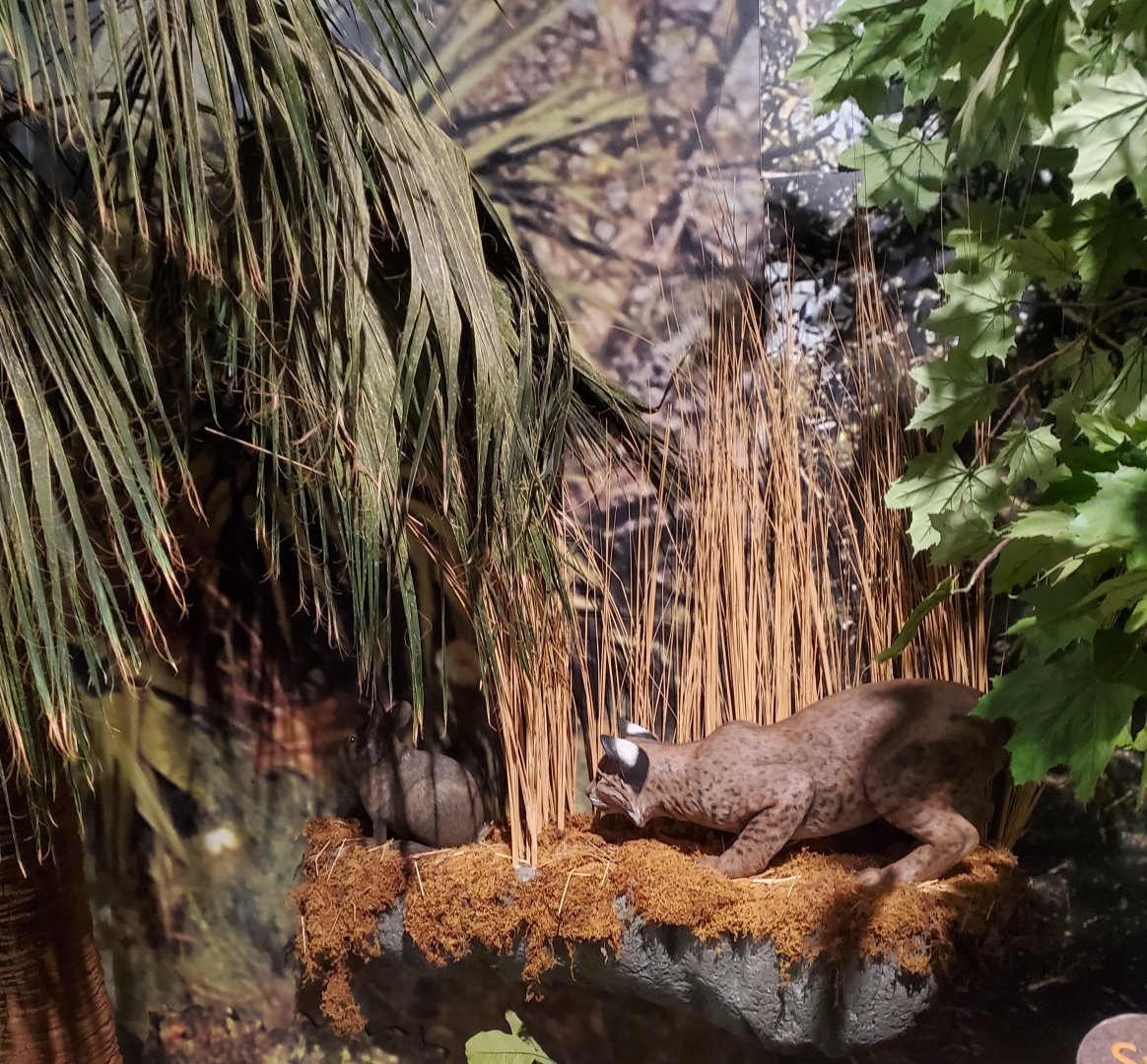 Daggerwing Nature Center