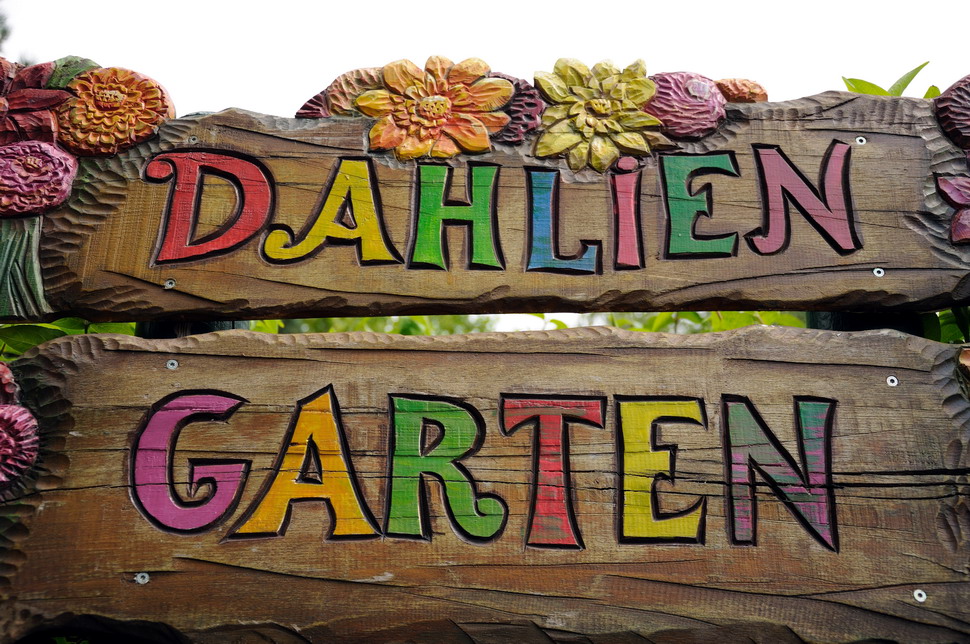 Dahlia-garden at Hansa-Park Sierksdorf