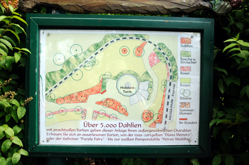 Dahlia-garden at Hansa-Park Sierksdorf