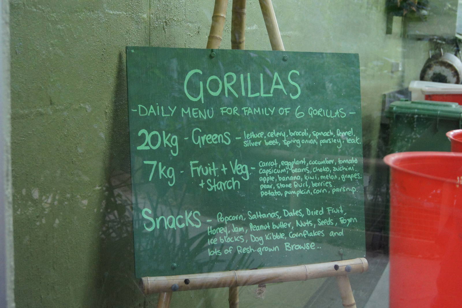Daily diet for 6 gorillas