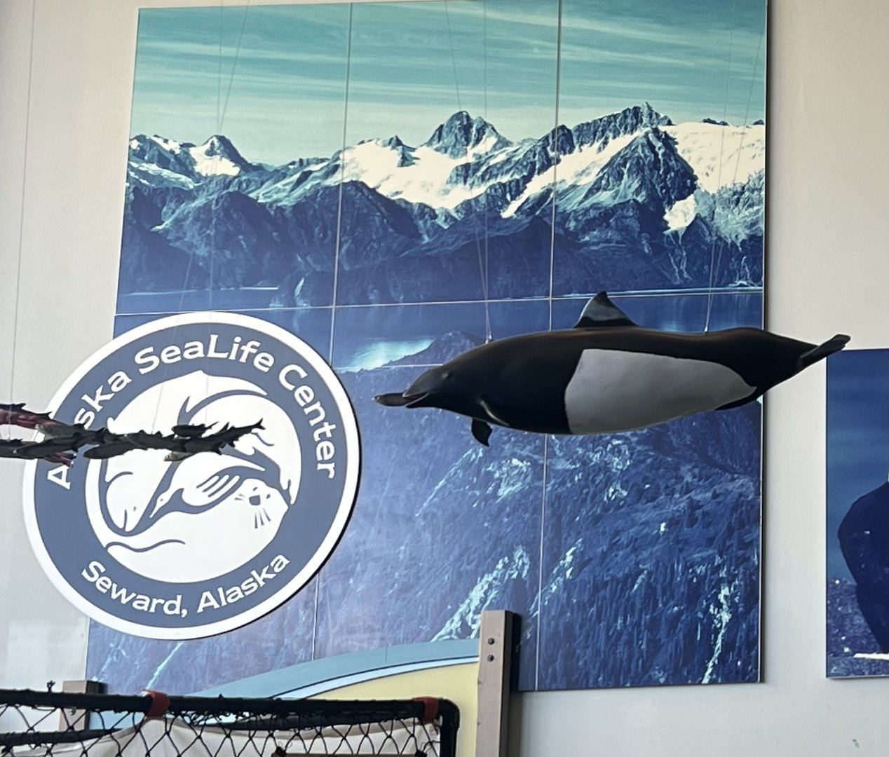 Dall Porpoise replicas and SeaLife Center seal