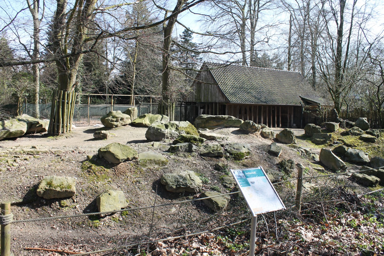 Dall sheep enclosure