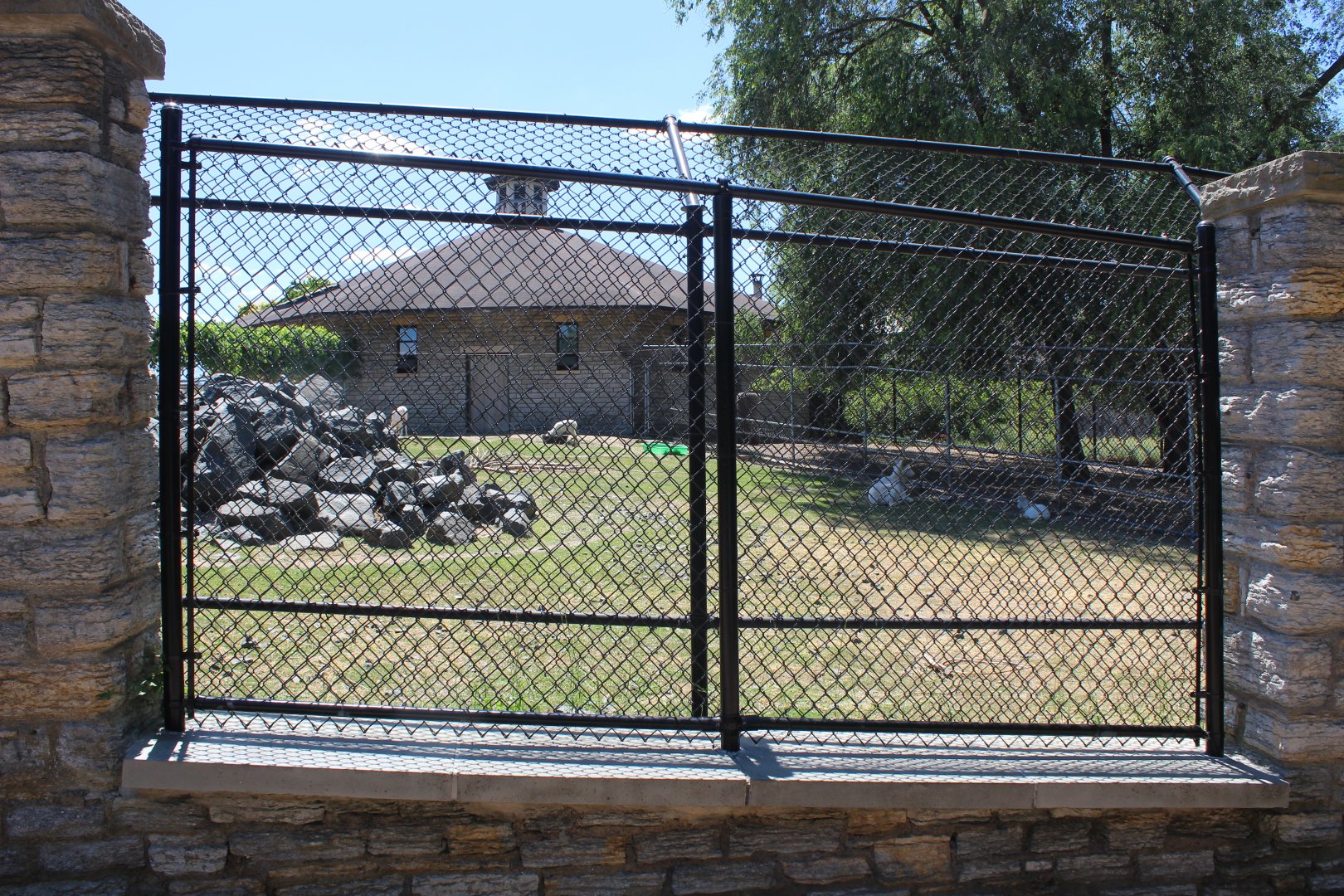 Dall Sheep Exhibit - Northern Hoofstock Barn