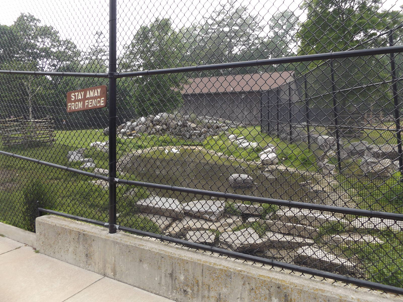 Dall Sheep, Geese, and Turkey Exhibit Pond