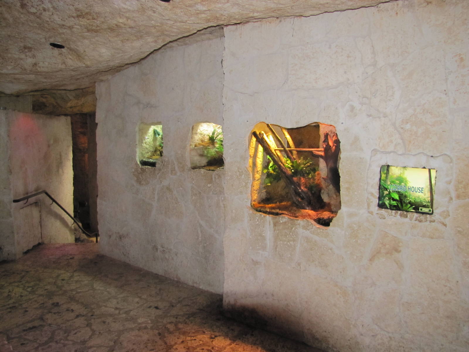 Dallas World Aquarium 2010 - Exhibits on the Mundo Maya level