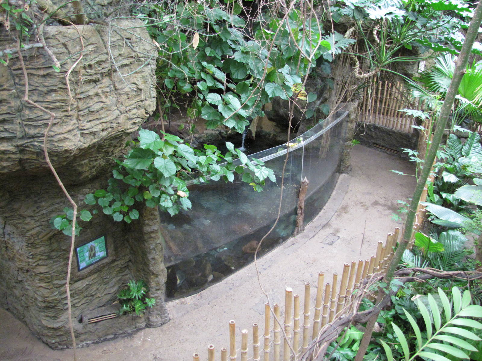 Dallas World Aquarium 2010 - Front of the Giant Otter exhibit from the high