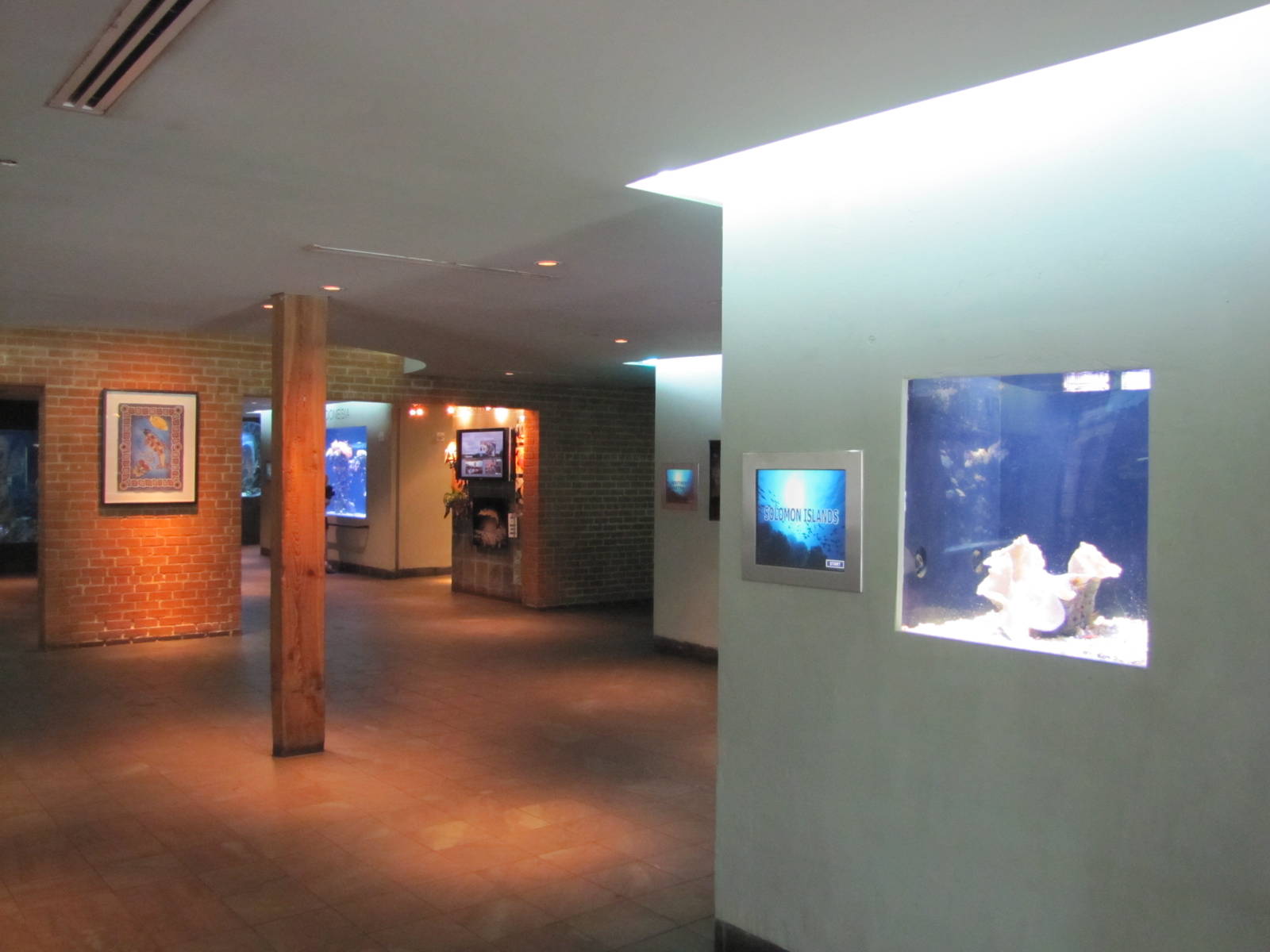 Dallas World Aquarium 2010 - General view on the Aquarium level