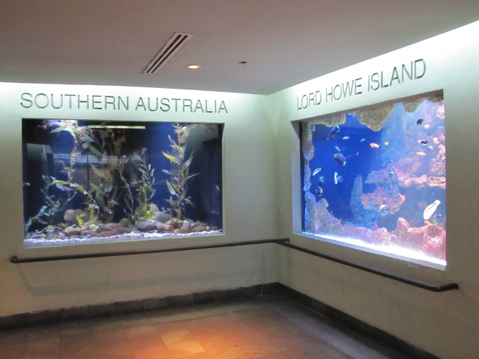 Dallas World Aquarium 2010 - General view on the Aquarium level