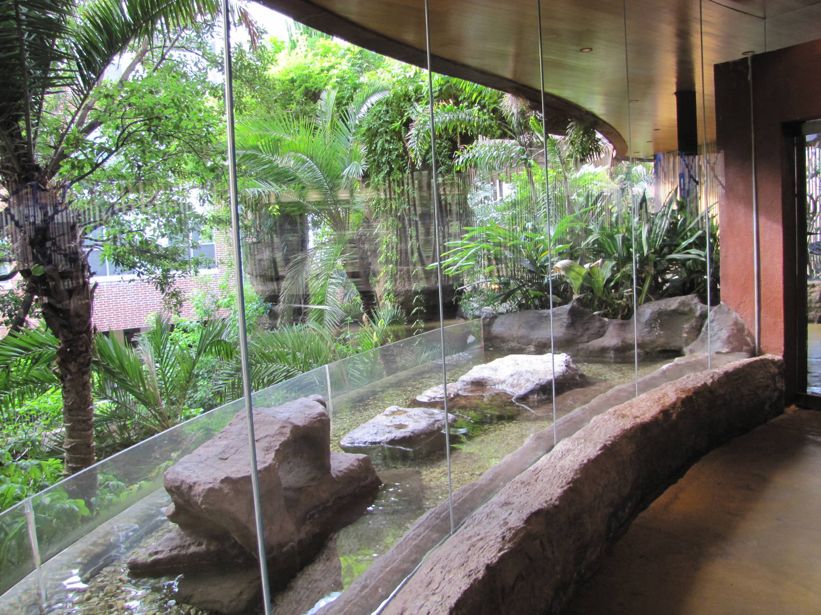 Dallas World Aquarium 2010 - Part of the Blue Penguin exhibit