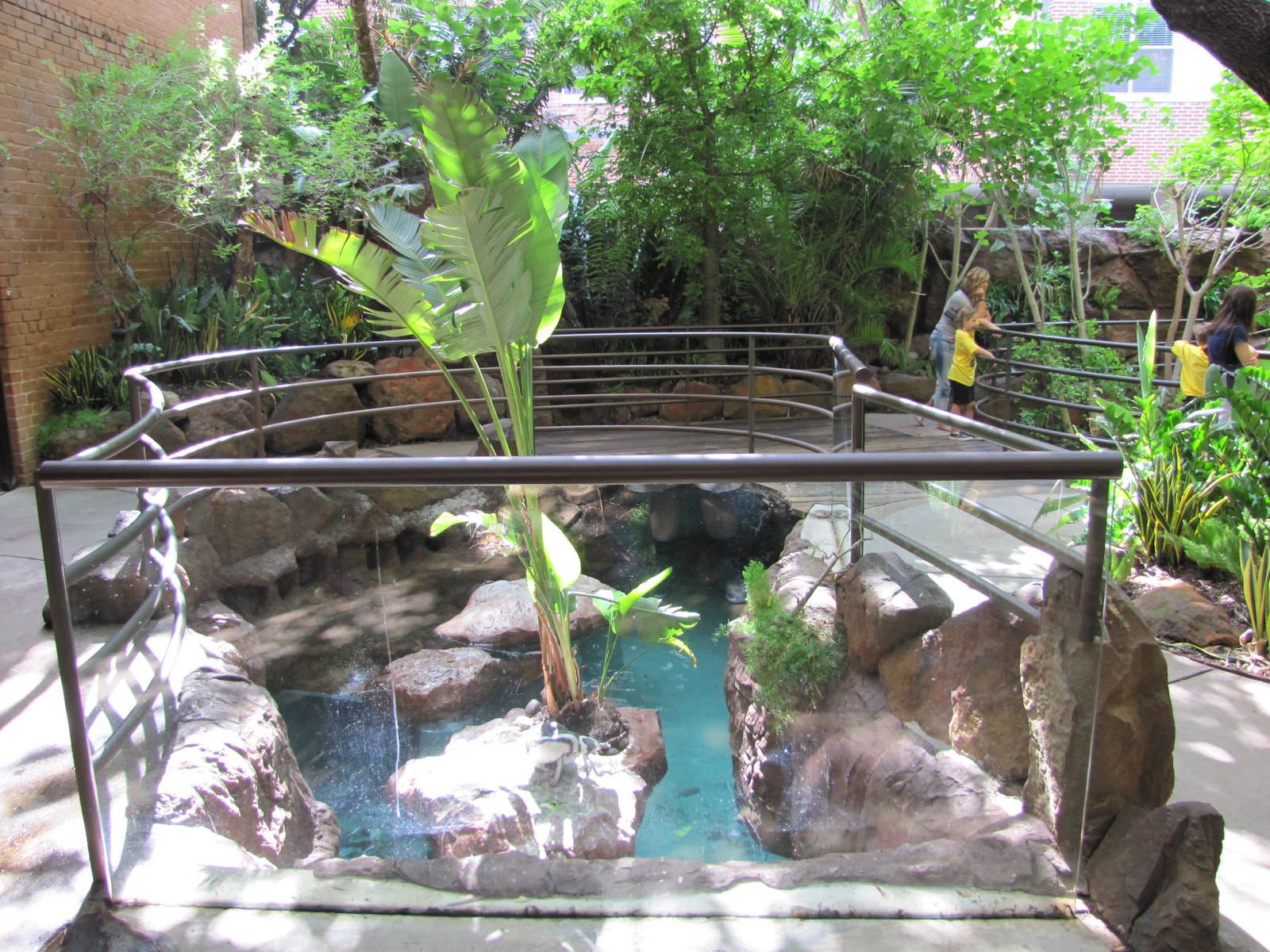 Dallas World Aquarium 2010 - Part of the Jackass Penguin exhibit