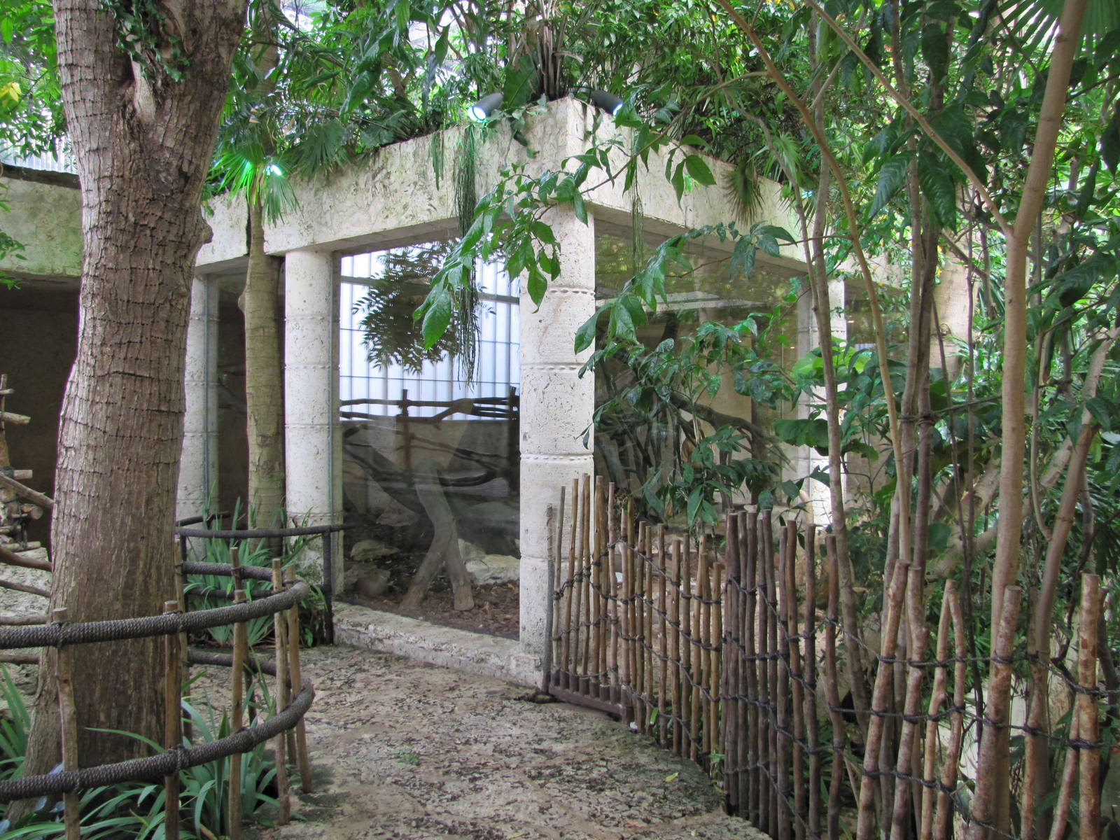 Dallas World Aquarium 2010 - View towards the Jaguar/Ocelot exhibit on the