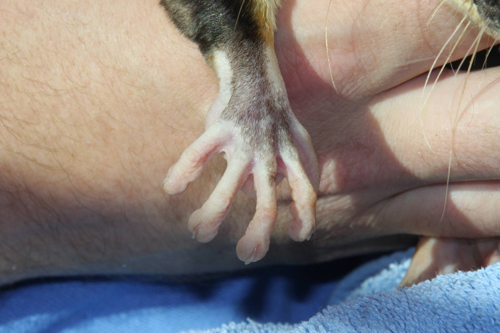 Dallas World Aquarium 2010