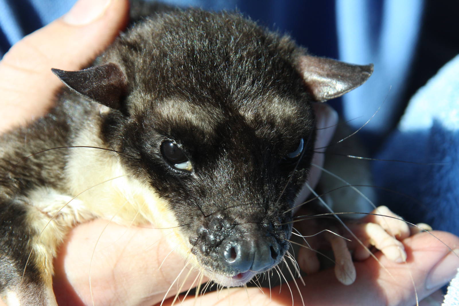 Dallas World Aquarium 2010