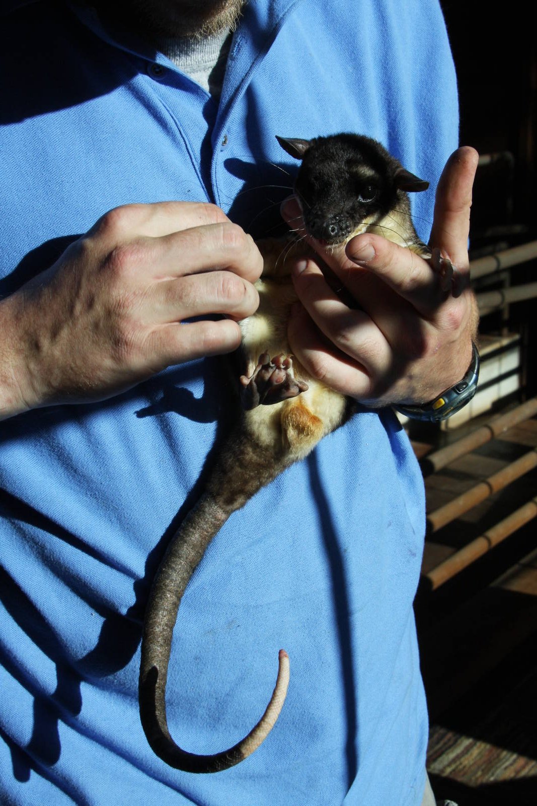 Dallas World Aquarium 2010