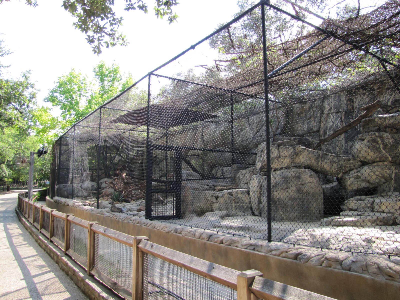 Dallas Zoo 2010 - Alongside Cat Row in Zoo North