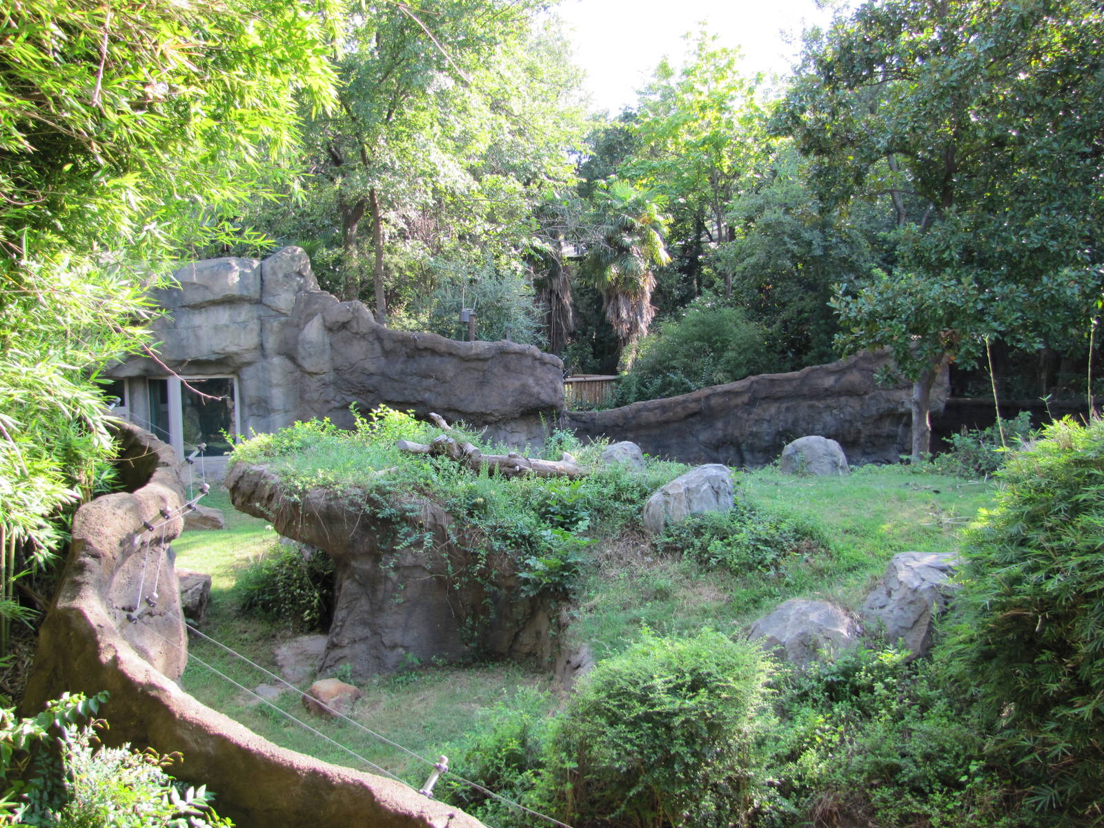 Dallas Zoo 2010 - Another part of the Hammon Gorilla Center
