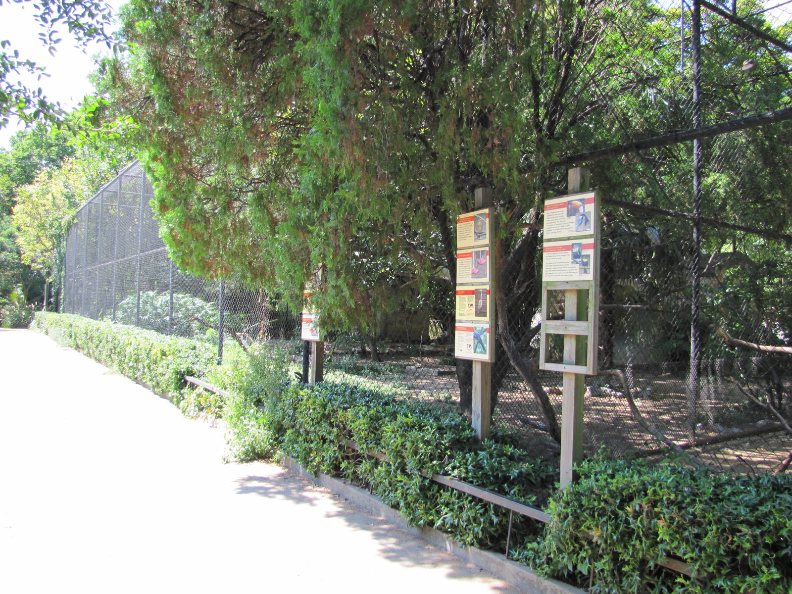 Dallas Zoo 2010 - Aviaries in Zoo North