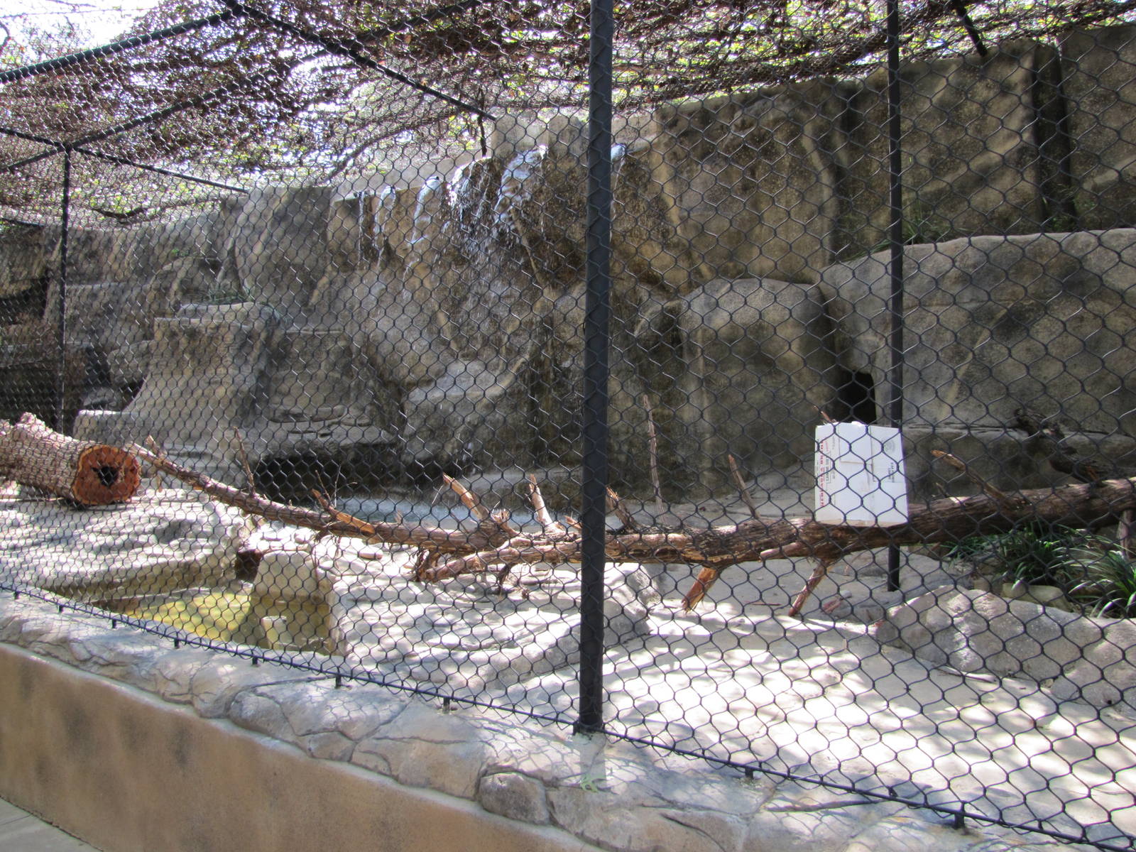 Dallas Zoo 2010 - Former African Lion exhibit in Cat Row in Zoo North