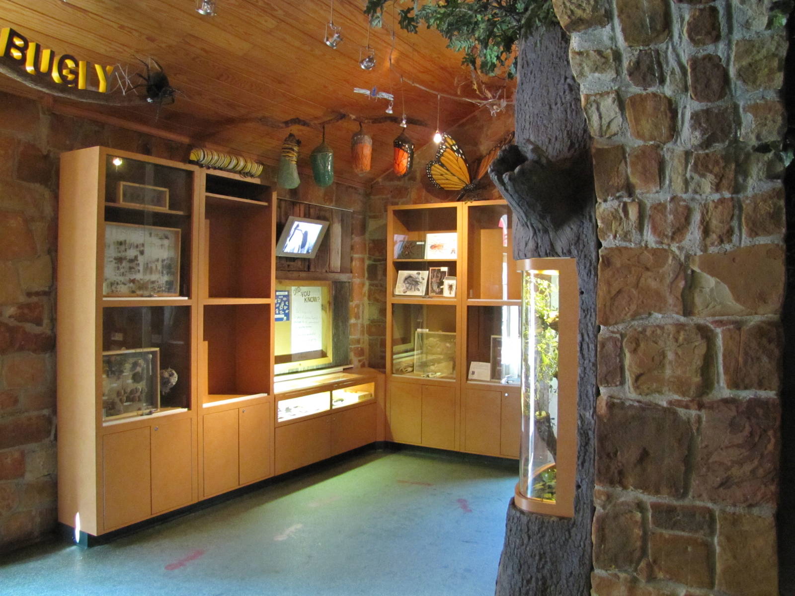 Dallas Zoo 2010 - General view inside Bug U in Zoo North