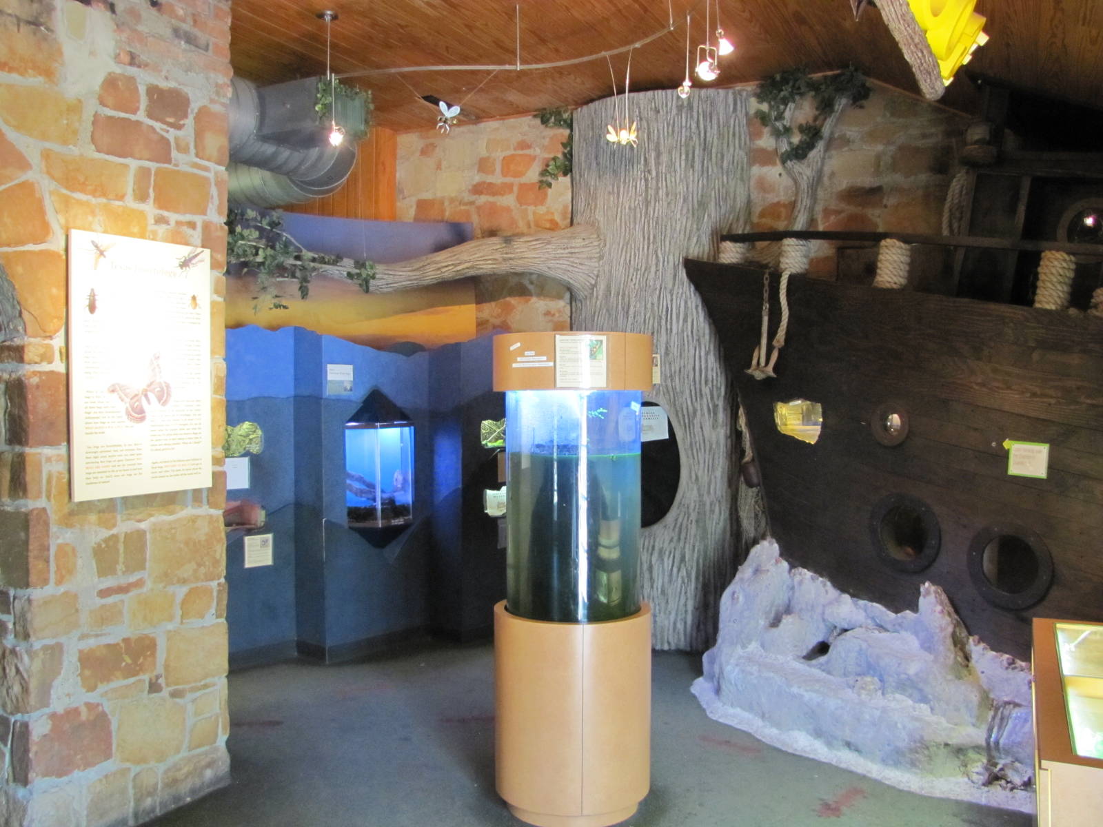 Dallas Zoo 2010 - General view inside Bug U in Zoo North