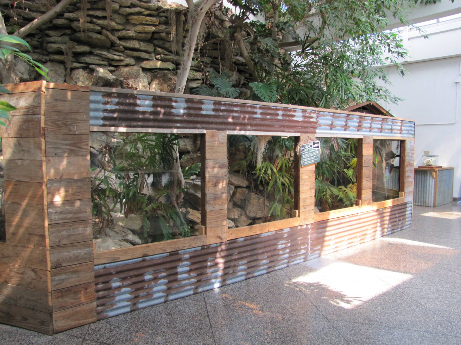 Dallas Zoo 2010 - General view inside the Bird and Reptile Building