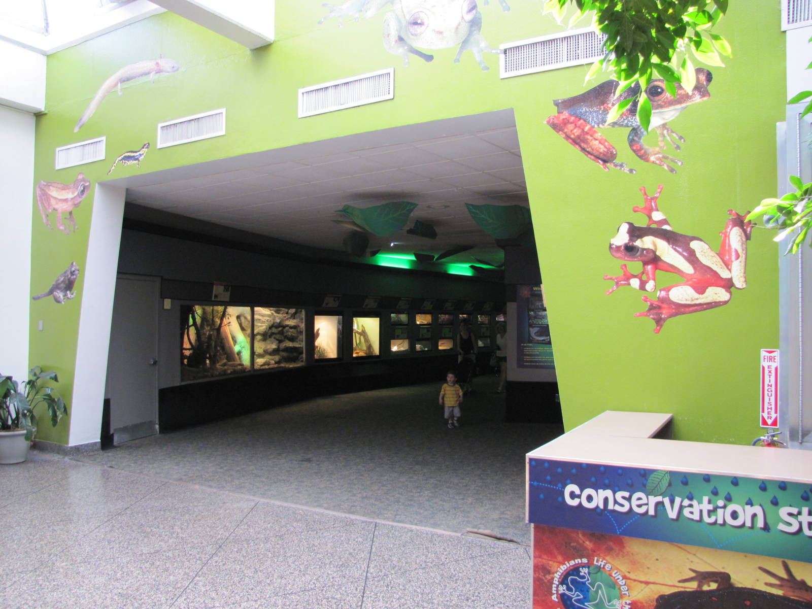 Dallas Zoo 2010 - General view inside the Bird and Reptile House