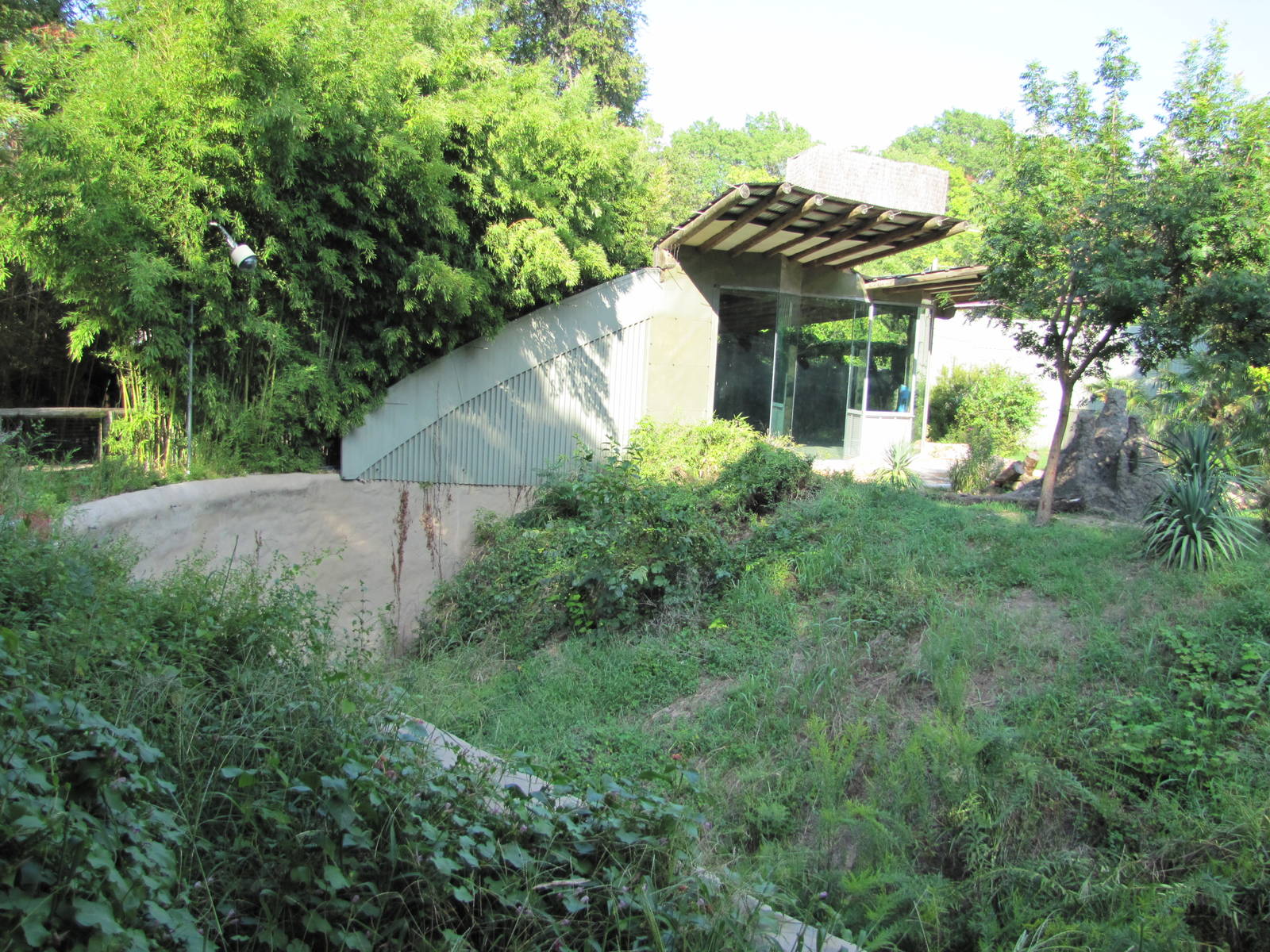 Dallas Zoo 2010 - Left side of the outstanding Kimberly-Clark Chimpanzee Fo