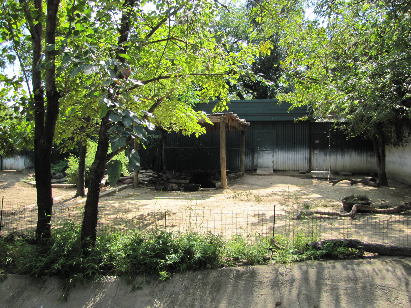 Dallas Zoo 2010 - Mixed exhibit for Brazilian Tapir and Collared Peccary in