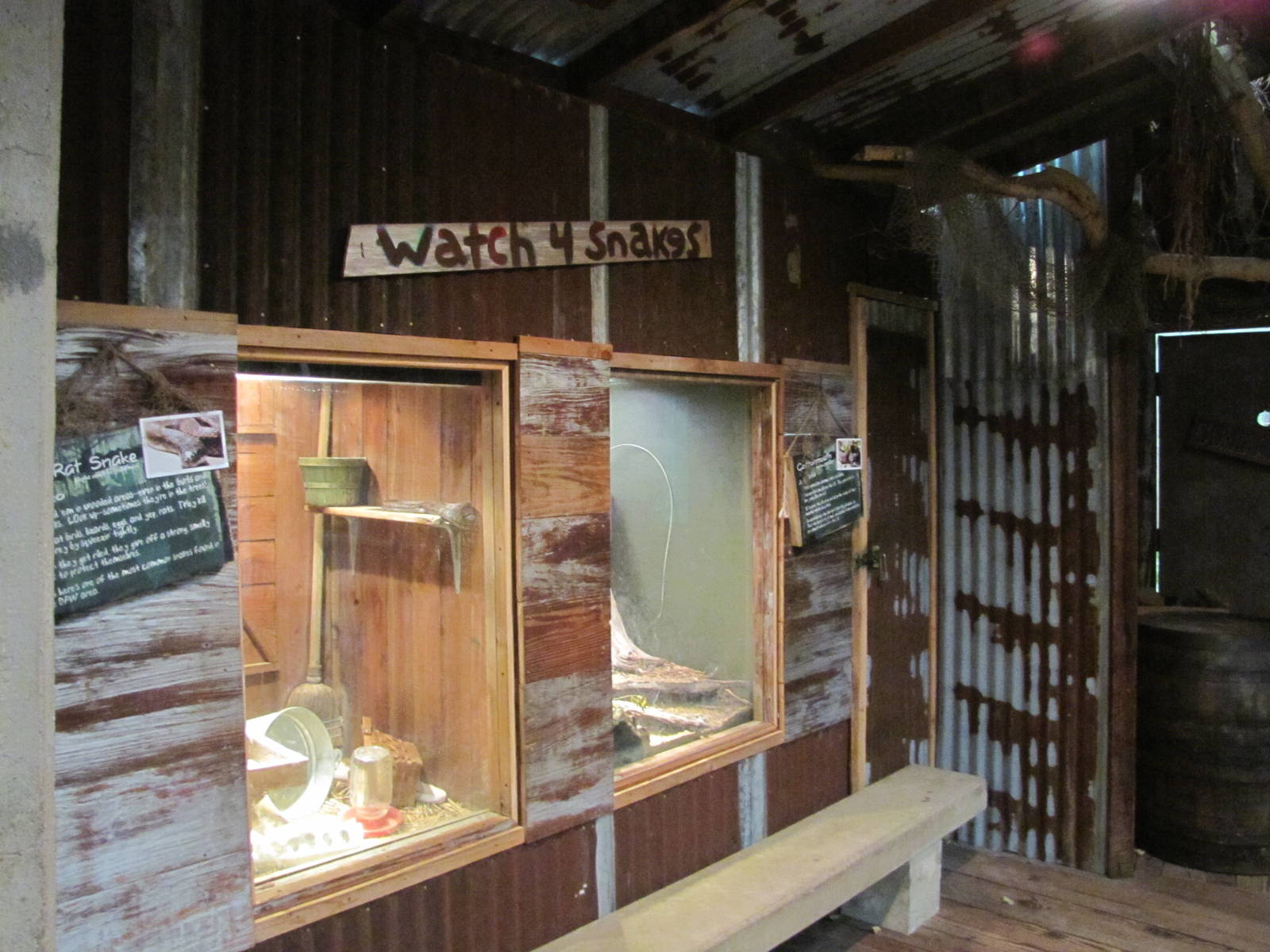 Dallas Zoo 2010 - Native snake exhibits in the Bird and Reptile House