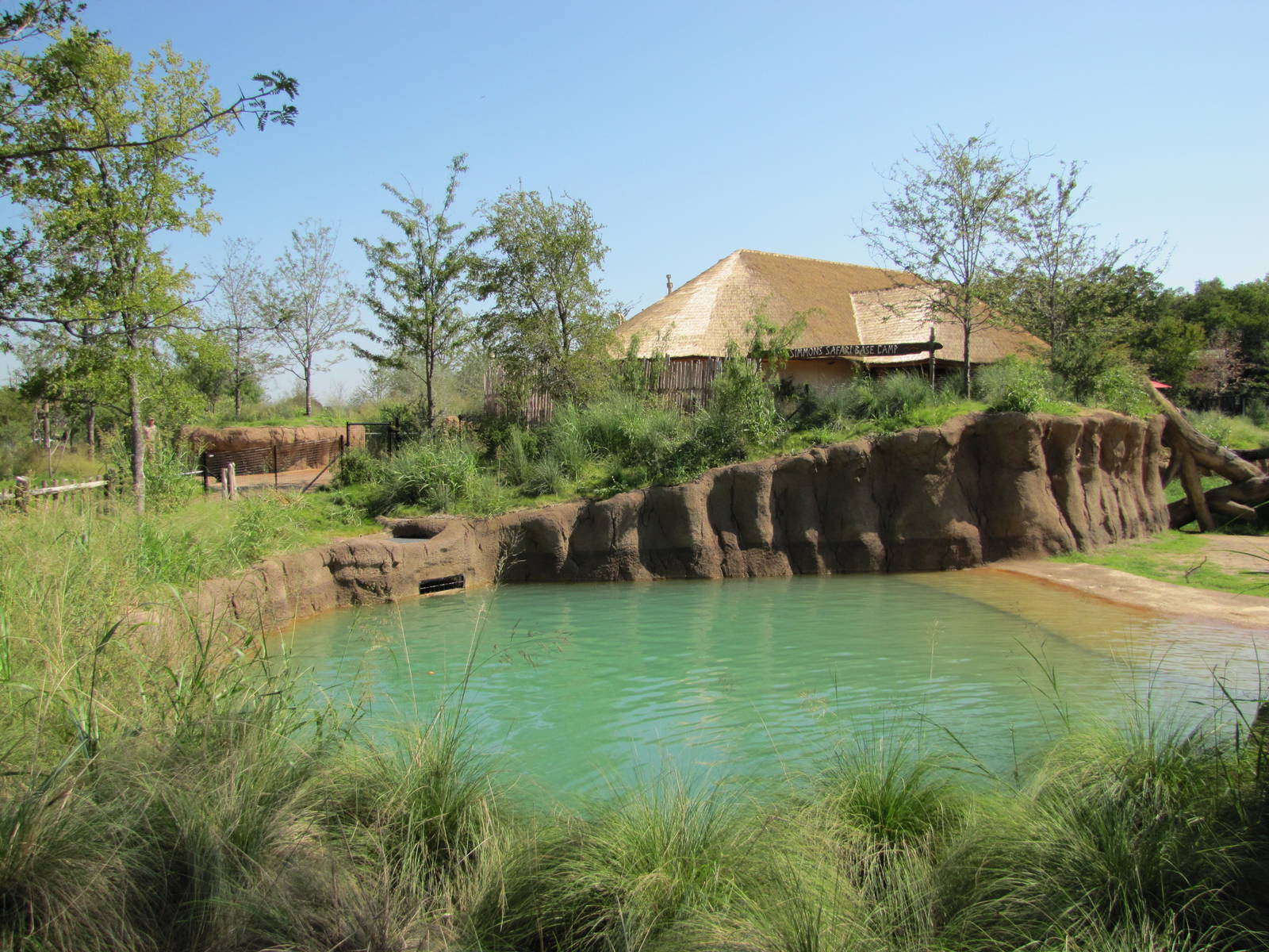 Dallas Zoo 2010 - Part of the African Elephant exhibit in Giants of the Sav