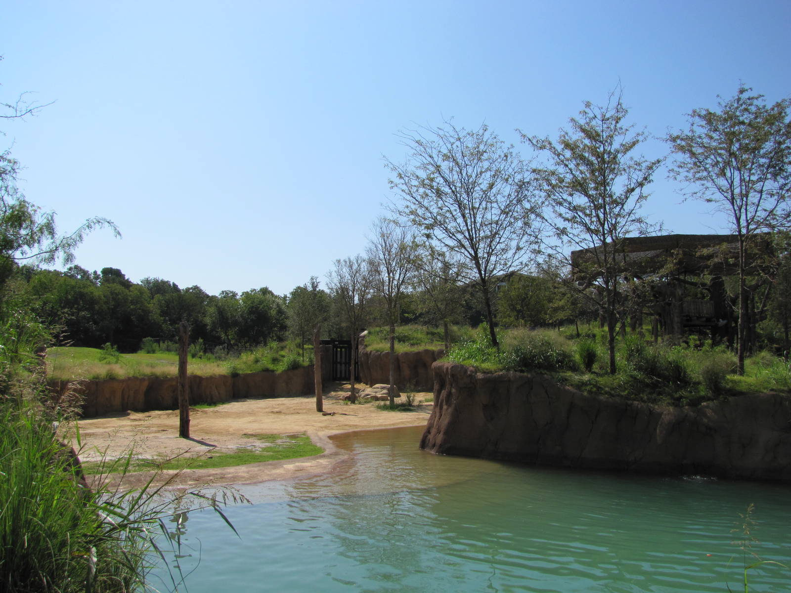 Dallas Zoo 2010 - Part of the African Elephant exhibit in Giants of the Sav