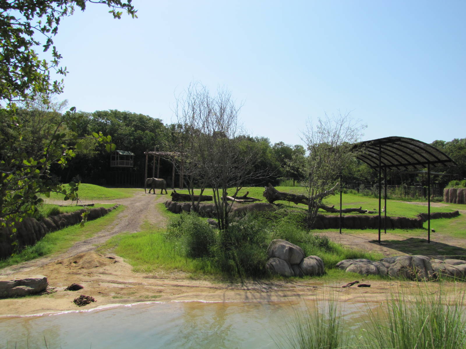 Dallas Zoo 2010 - Part of the African Elephant exhibit in Giants of the Sav