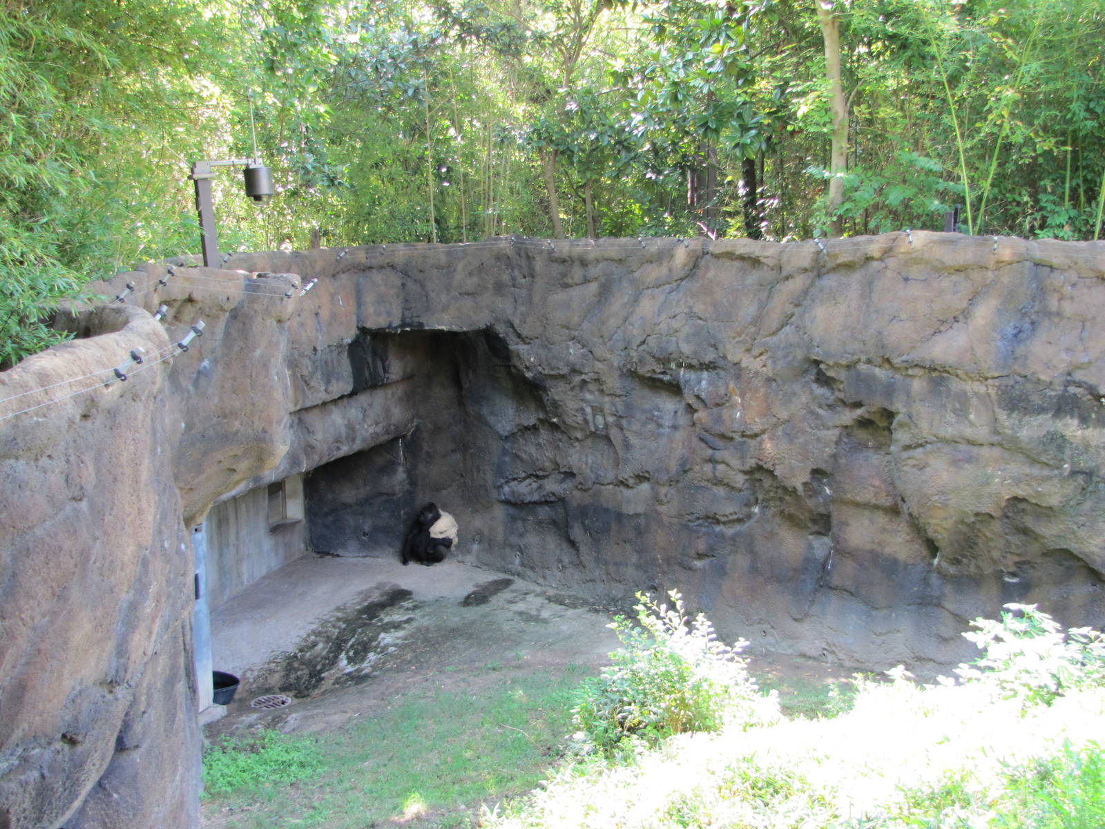 Dallas Zoo 2010 - Part of the Hammon Gorilla Center