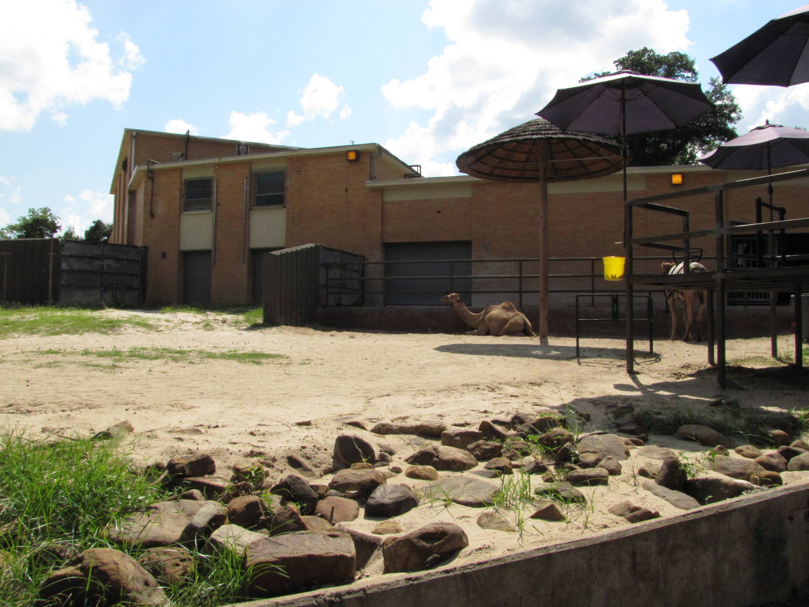 Dallas Zoo 2010 - Part of the Large Mammal Building in Zoo North