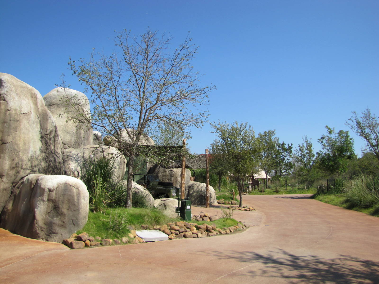 Dallas Zoo 2010 - Pathway in front of the African Lion exhibit