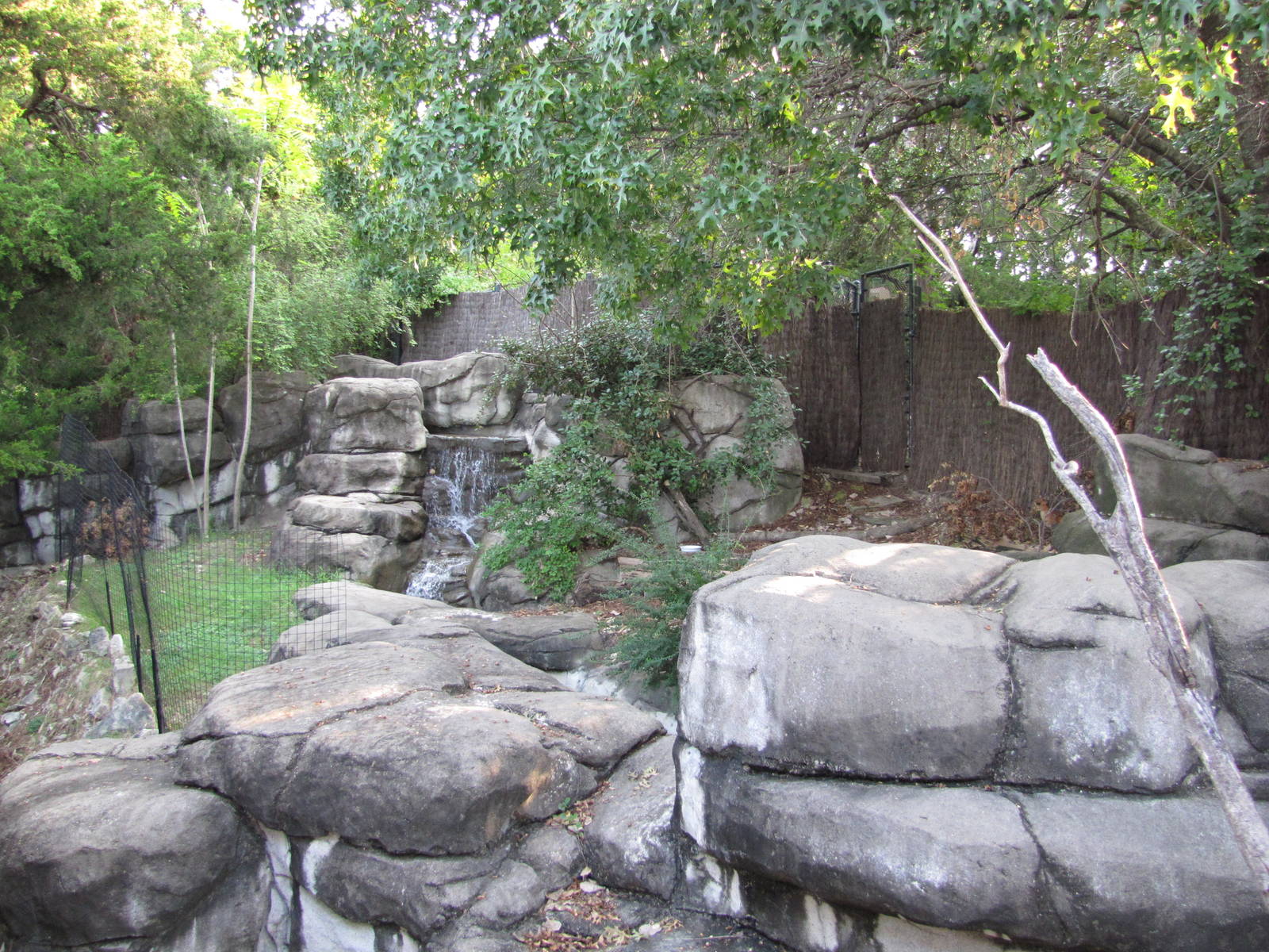 Dallas Zoo 2010 - Red-flanked Duiker exhibit in Wilds of Africa