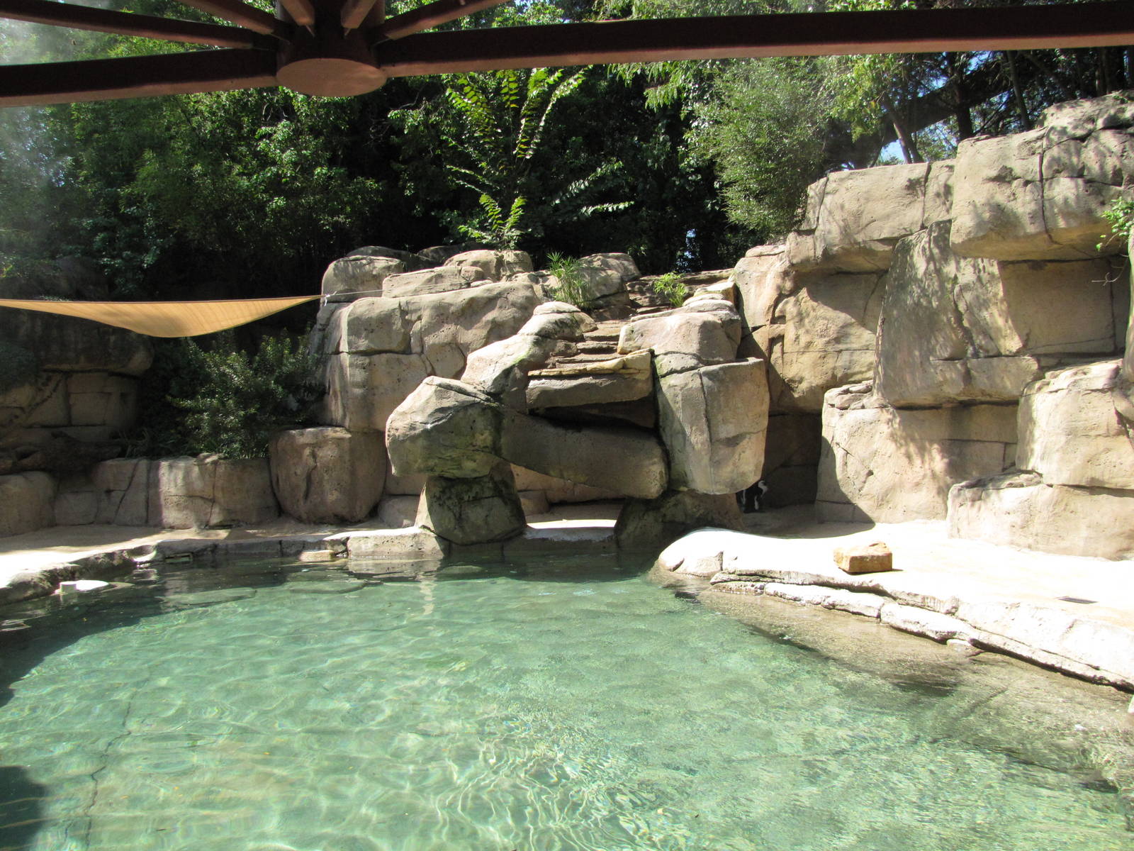 Dallas Zoo 2010 - Right side of the Jackass Penguin exhibit