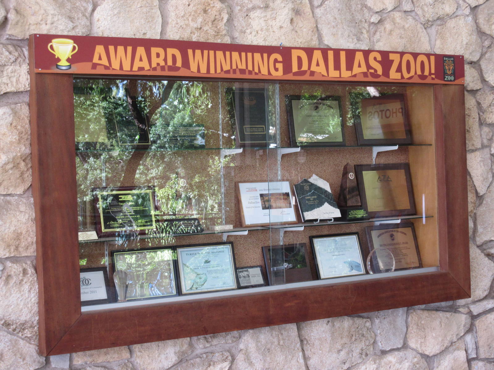 Dallas Zoo Trophy Cabinet!