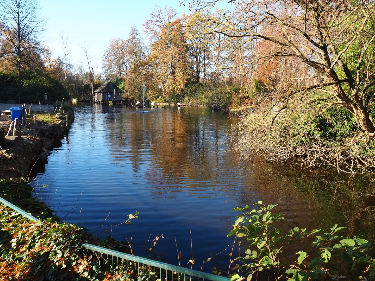 Dalmatian and Great white pelican pond (Nov 18th, 2018)
