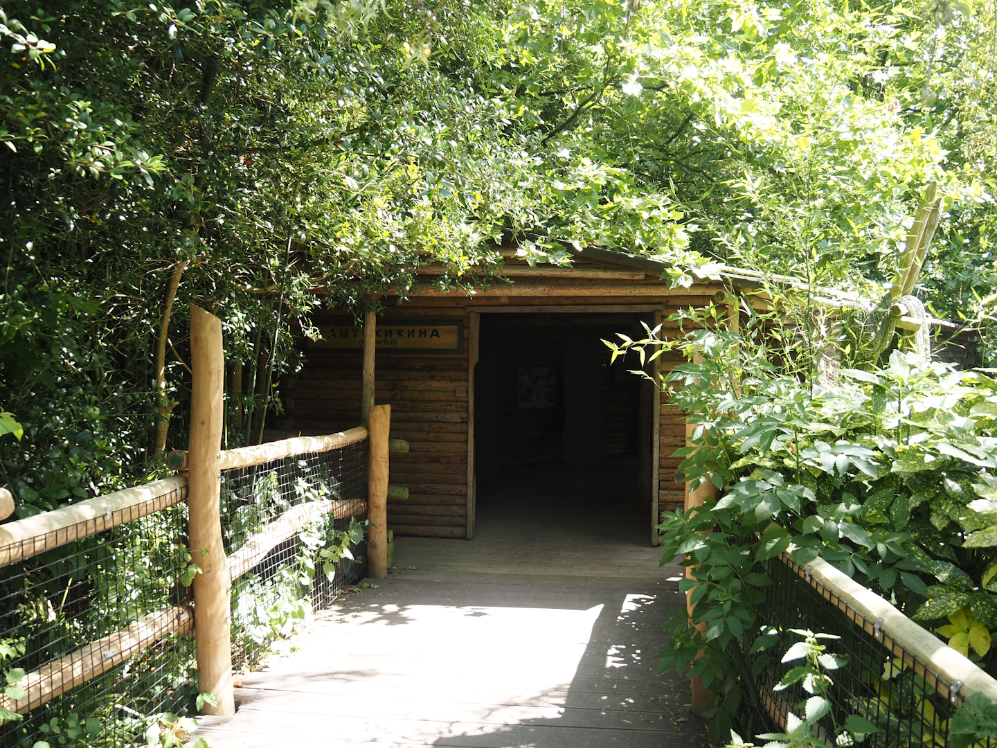 Dalmatian pelican and Eurasian greater cormorant viewing cabin, 2024-06-30