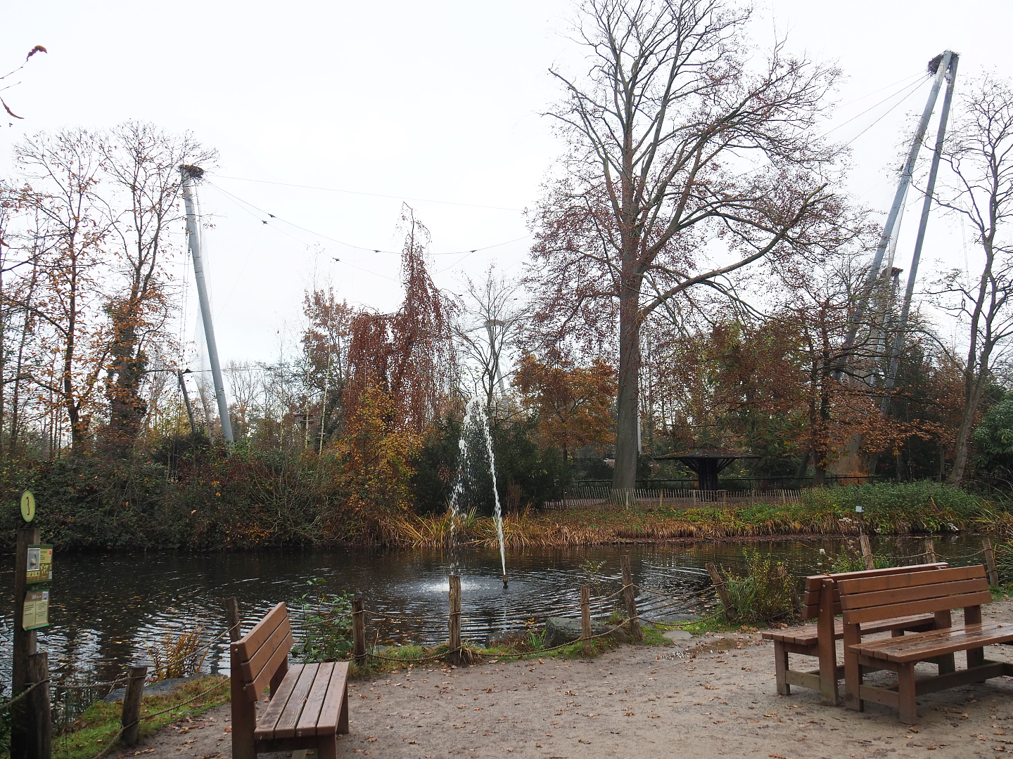 Dalmatian pelican pond and Vulture aviary, 2021-11-23