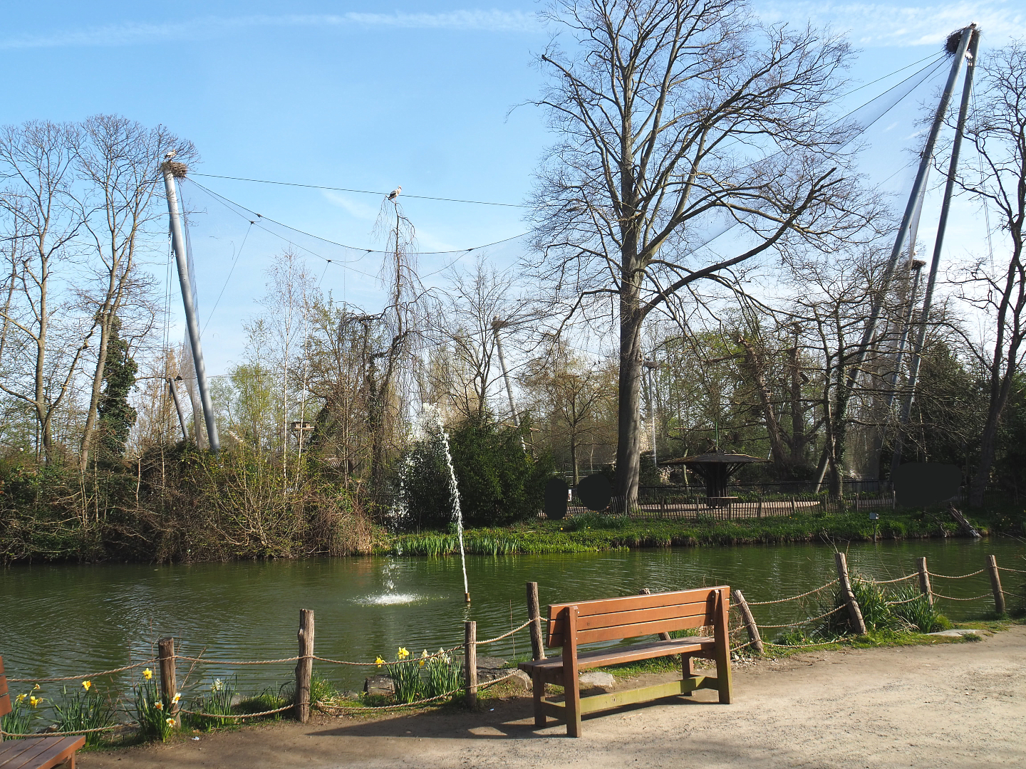 Dalmatian pelican pond and Vulture/Chough aviary, 2022-04-12