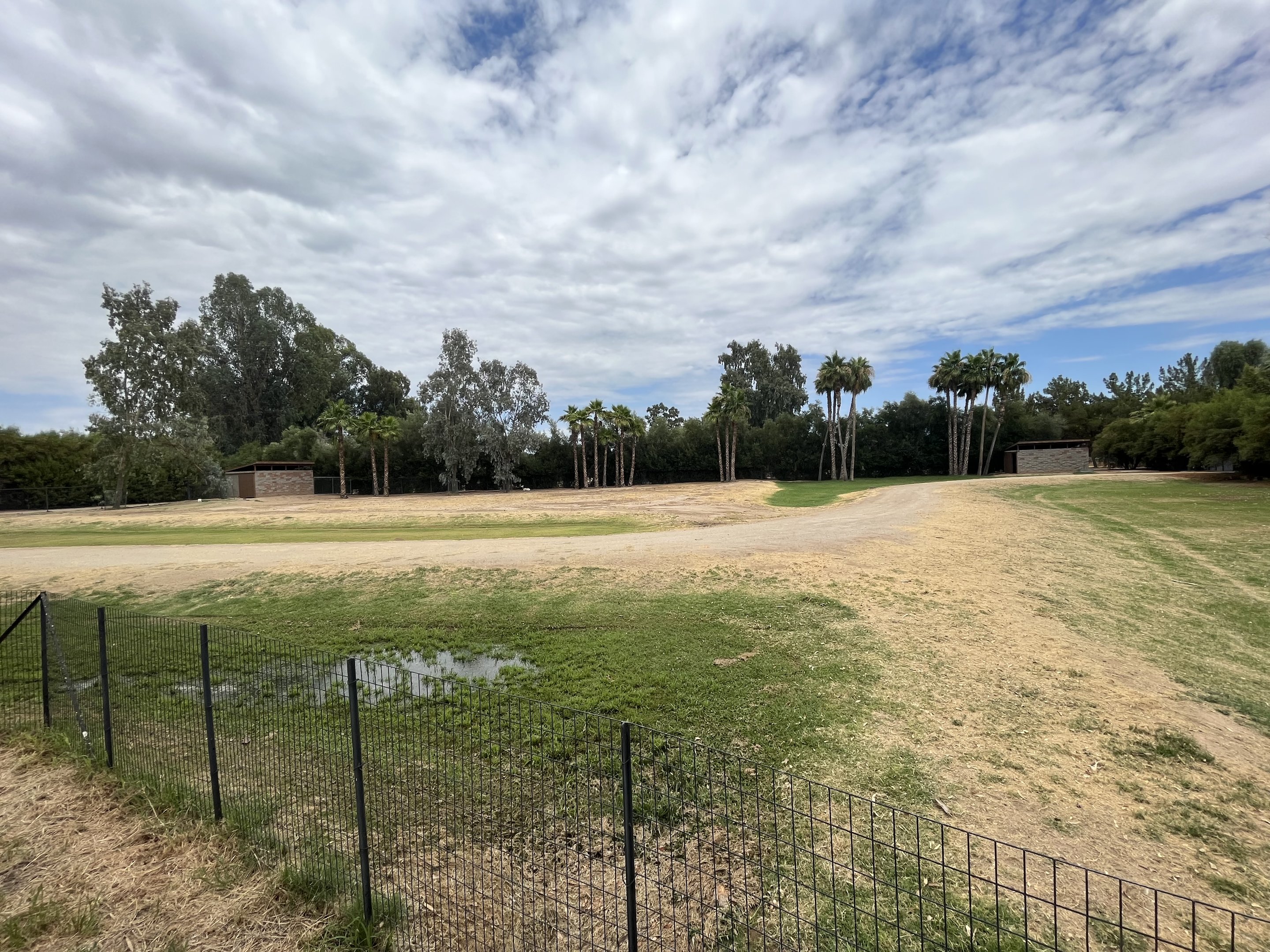 Dama Gazelle/East African Crowned Crane Exhibit